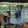Diduga Puntung Rokok Anak-anak, 1 Ton Kardus di Gudang Ruko Indramayu Ludes Terbakar