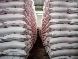 Stok Pupuk Subsidi Indramayu Tembus 1.516 Ton, Pupuk Kujang Pastikan Kebutuhan Petani Aman