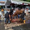 Kisah Warga Sukaurip Indramayu yang Konsisten Kurban Hingga Belasan Sapi Setiap Tahunnya