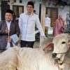 Bupati Lucky Hakim Terharu, Nilai Kurban Warga Indramayu Ditaksir Tembus Rp 82 Miliar