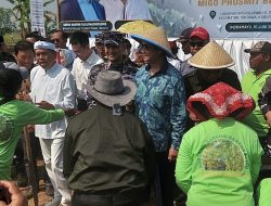 Indramayu Masuk Proyek Strategis Prabowo untuk Wujudkan Swasembada Kedelai