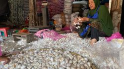 Dampak Rupiah Melemah Mulai Terasa di Pasar Tradisional Indramayu, Pedagang Keluhkan Pembeli Berkurang dan Harga Naik