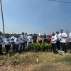 PNM Tanam 29 Ribu Pohon Serentak, Dari Indramayu hingga Pelosok Indonesia