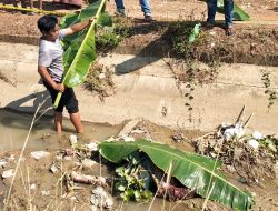 Warga Tawangsari Indramayu Digegerkan Penemuan Mayat Perempuan di Saluran Irigasi