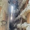 Damkar Indramayu Evakuasi Biawak Besar yang Terselip di Celah Antara Tembok Rumah Warga, Butuh 1 Jam