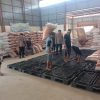 Bulog Indramayu Serap Jagung Petani Rp 6.400/Kg, Target Tahun Ini Bisa Serap Hingga 900 Ton