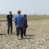 KTNA Ingatkan Pemerintah 10.673 Hektare Sawah di Indramayu Saat Ini Berstatus Terancam Puso, Desak Pendistribusian Air