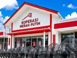 Viral Anggaran Kipas Angin Kopdes Diduga 2x Lipat Hadiah Timnas Spanyol Usai Juarai Piala Dunia 2026