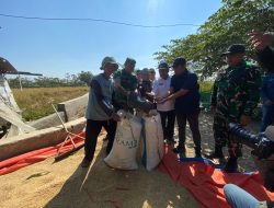 Bulog Indramayu Sudah Serap 156 Ribu Ton Gabah, Rekor Tertinggi Sepanjang Sejarah