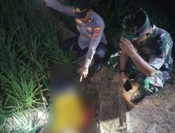 Niat Basmi Hama Tikus, Petani di Majalengka Justru Ditemukan Tewas Tersetrum