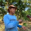 Dilema Petani Desa Lobener Lor Indramayu, Air Ada tapi Sawah Tetap Kekeringan, Bibit Padi yang Baru Disemai Mati
