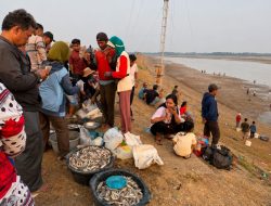 Viral Warga Ramai-ramai Berburu Ikan di Waduk Cipancuh Indramayu yang Mengering