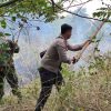 Tim Gabungan Berhasil Padamkan Kebakaran di Kawasan Hutan Jati Indramayu Sebelum Meluas