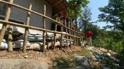 Tanah Ambles di Tanggul Sungai Cimanuk Indramayu Kian Parah, 40 Rumah Terancam Roboh