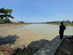 Kondisi Terkini Waduk Bojongsari Indramayu: Nyaris Kering