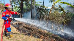 Bakar Sampah Tak Diawasi, Ilalang di Pinggir Jalan Raya Ibu Tien Indramayu Kebakaran