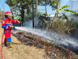 Bakar Sampah Tak Diawasi, Ilalang di Pinggir Jalan Raya Ibu Tien Indramayu Kebakaran