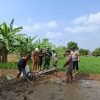 Uji Coba Sistem PMAAS Digelar di Sawah Indramayu, Diklaim Bisa Dorong Produktivitas Petani