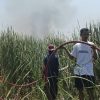 Hutan Kota Kayu Putih Indramayu Terbakar, Api Nyaris Merambat ke Rumah Warga