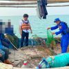 Polisi Temukan 5 Alat Tangkap Garok Beroperasi di Perairan Eretan Indramayu
