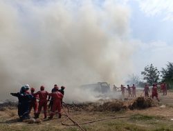 Lahan Kosong Dekat Pertamina Balongan Terbakar, 6 Armada Damkar Dikerahkan
